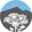 bgpn.pl