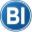 bi-group.org