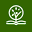 biblechurch.com.ua