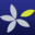 bibliotheque-ifm.com
