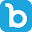 biddingforgood.com