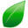 bigbloomhydroponics.com