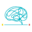 bigbrain.com.br