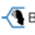 bigdataguys.com