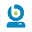 bigfix.me
