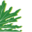 bigleaf.com.au