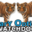 binaryoptionswatchdog.trade
