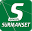 bingolsurmanset.com