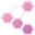 biolabsrl.net