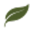 biolog.com.tr