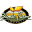 bionicfarm.com