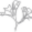 bioxan.es