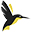 bird.bot