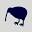 bird.org.nz
