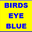 birdseyeblue.com