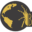 birdspiders.com