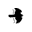 birdwatch.co.uk