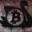 bitcoinz.net