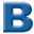 biv.org