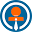biznetwork.mn