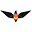 blackbirdpackaging.com