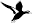 blackduck.co.nz
