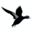blackduck.com.au