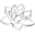 blackmountainyoga.com
