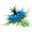 blackseed.com.ua