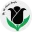 blacktulipflowers.com