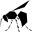blackwasp.co.uk