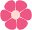 bloominbag.com