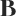 bloomingkoco.com