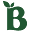 bloomnu.com