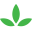 bloomsthechemist.com.au