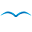 bluebird-ag.com