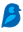 bluebirds.com.pk
