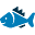 bluefishds.com