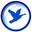 bluegoosesystems.co.uk