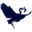 blueheronfishing.com