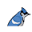 bluejaypms.com