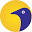 bluent.co.in