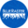 blueraster.com