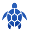 blueturtledental.com