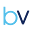 bluevision.pl