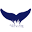 bluewhale.com.au