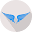 bluewings.in