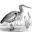 bngc.net