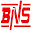 bns.com.pl