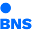 bns.lt